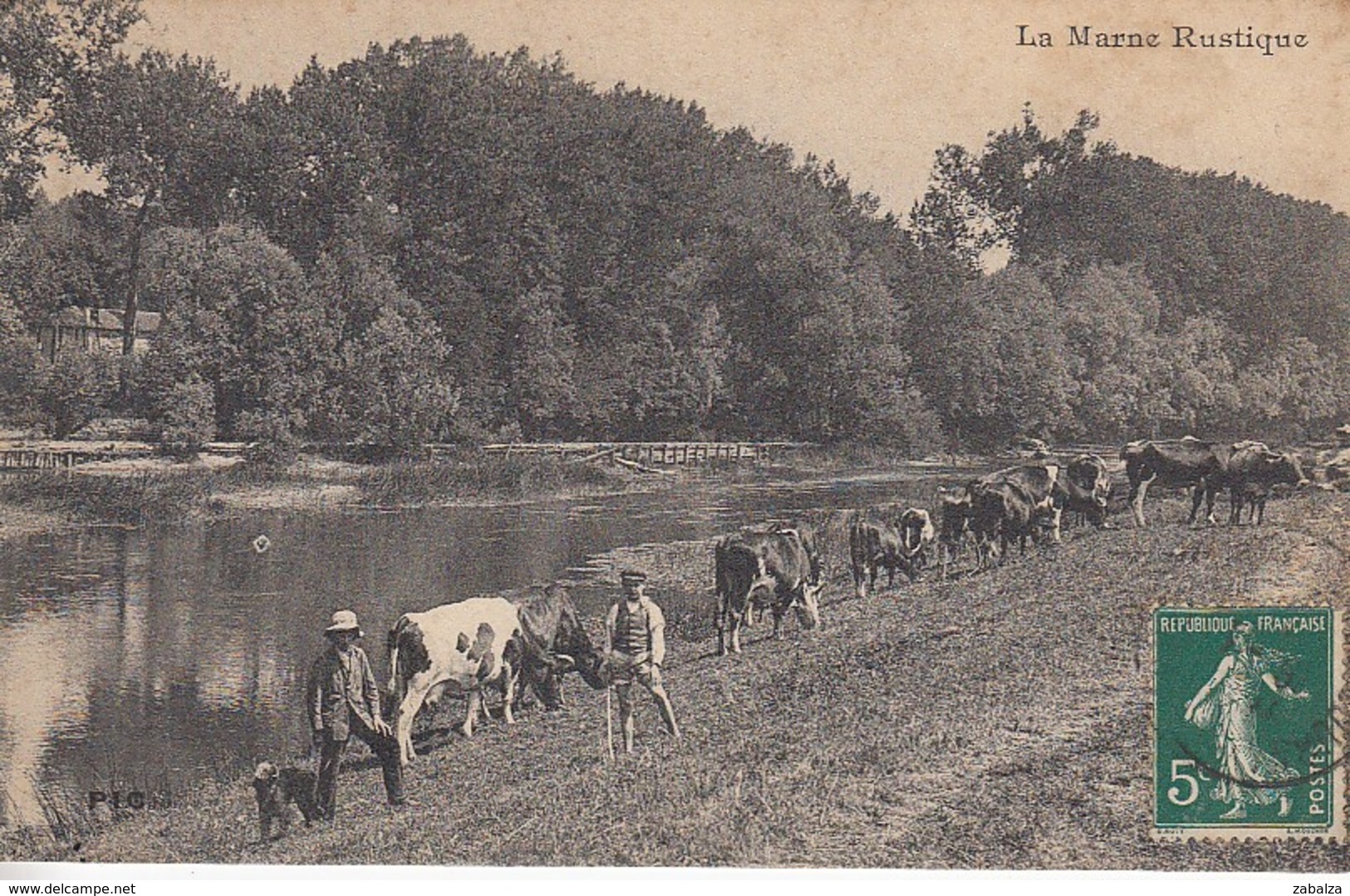 CHELLES LA MARNE RUSTIQUE VACHES AU CHAMPS - Chelles