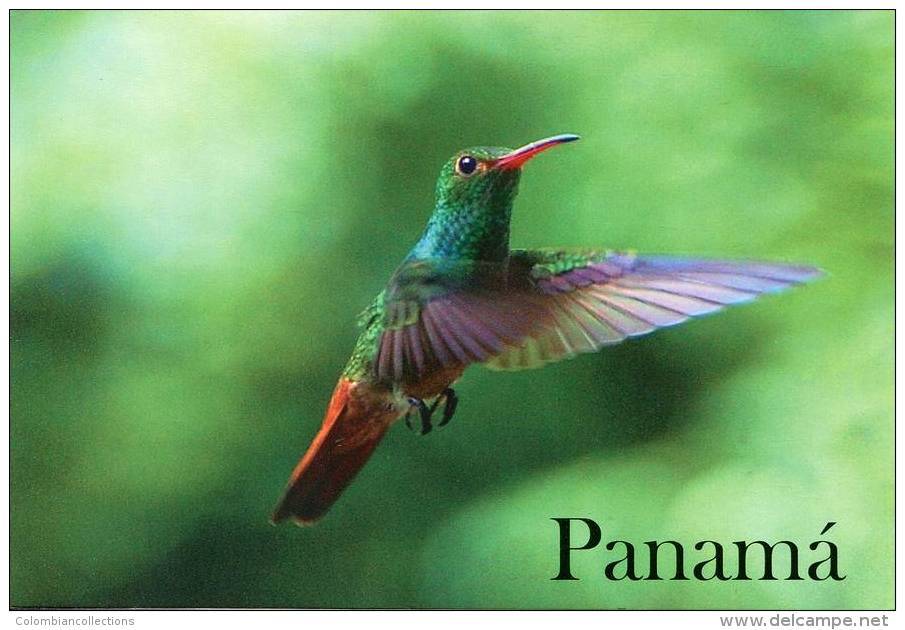 Lote PEP904, Panama, Postal, Postcard, Ave, Bird, Colibri, Hummingbird - Panama