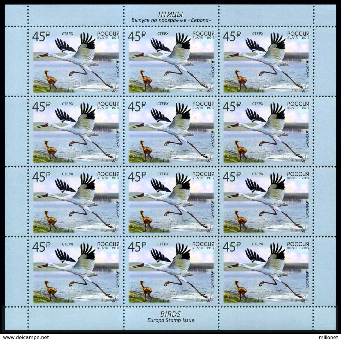 RUSSIA RUSIA RUSSIE RUSSLAND 2019 EUROPA BIRDS Sheetlet Of 12 Stamps ** - 2019