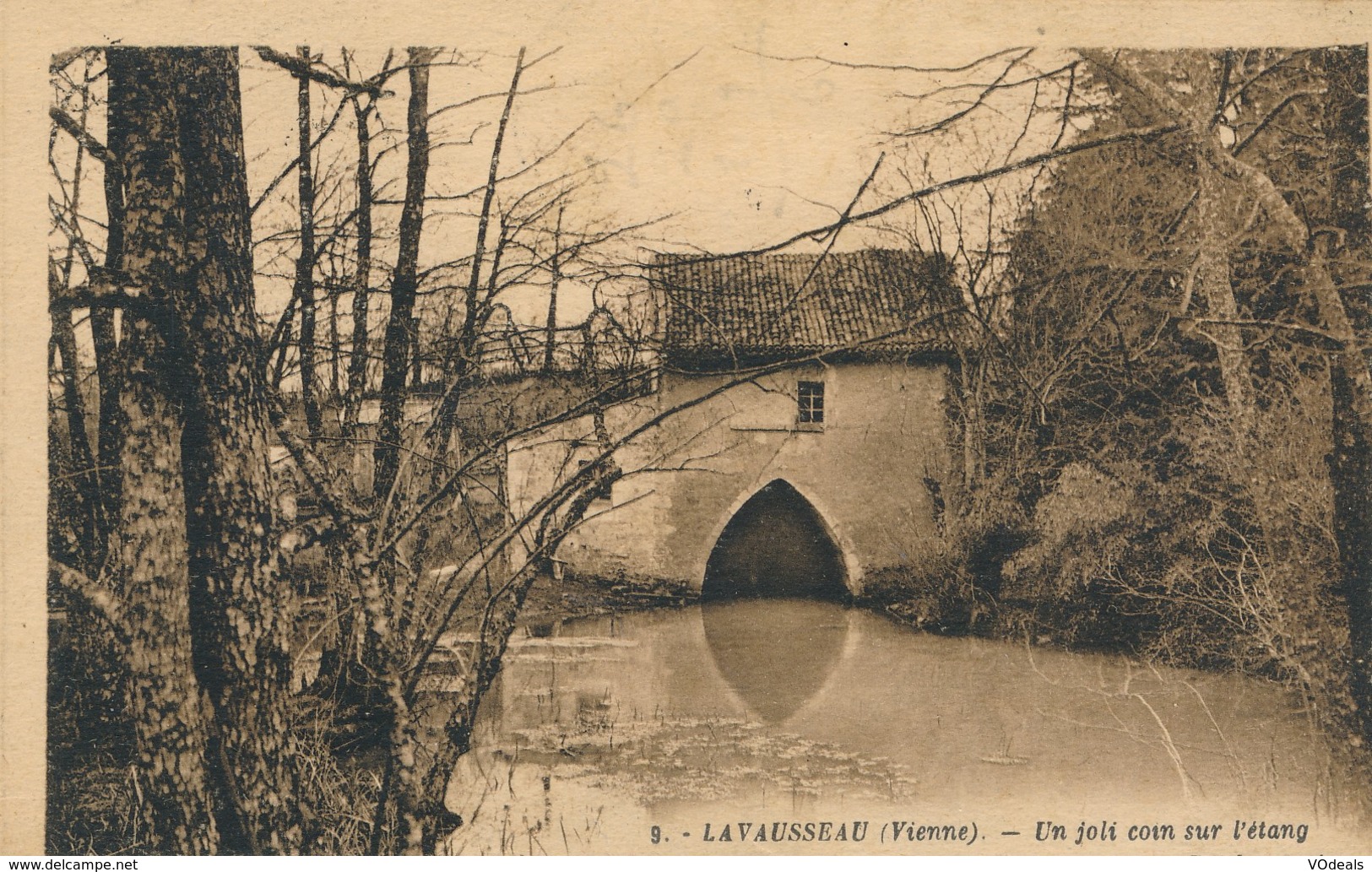 CPA - France - (86) Vienne - Lavausseau - Un Joli Coin Sur L'Etang - Autres & Non Classés