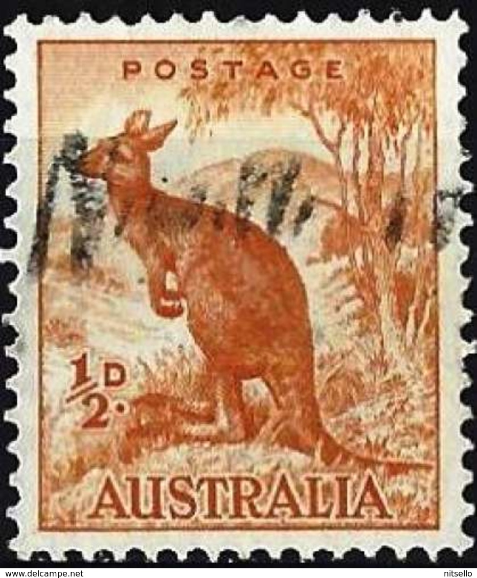 LOTE 1526  ///   (C020) Australie 1949 - Kangourou ( Mi 194 - YT 163A ) - Used Stamps