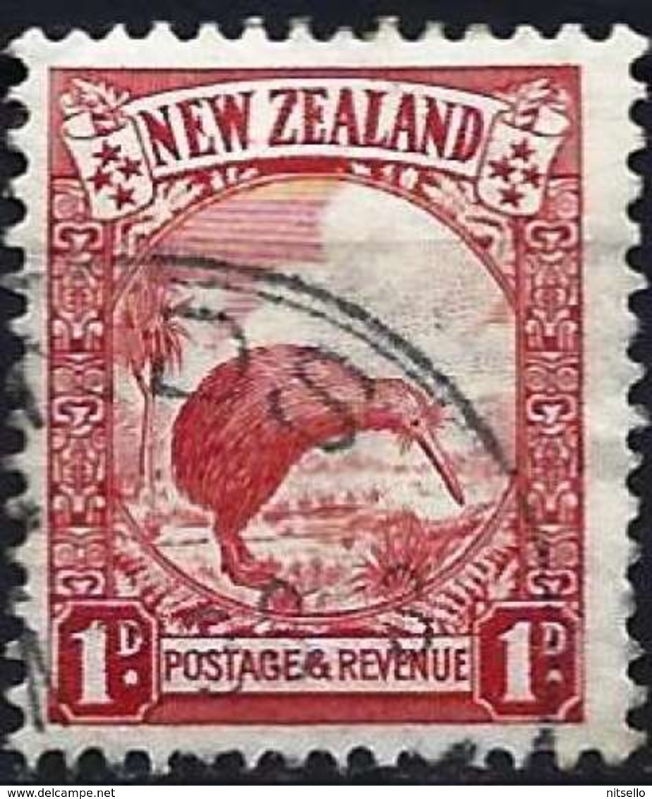LOTE 1528   ///   (C020)  Nouvelle-Zélande 1936 - Oiseau : Kiwi ( Mi 213 - YT 214 ) - Oblitérés