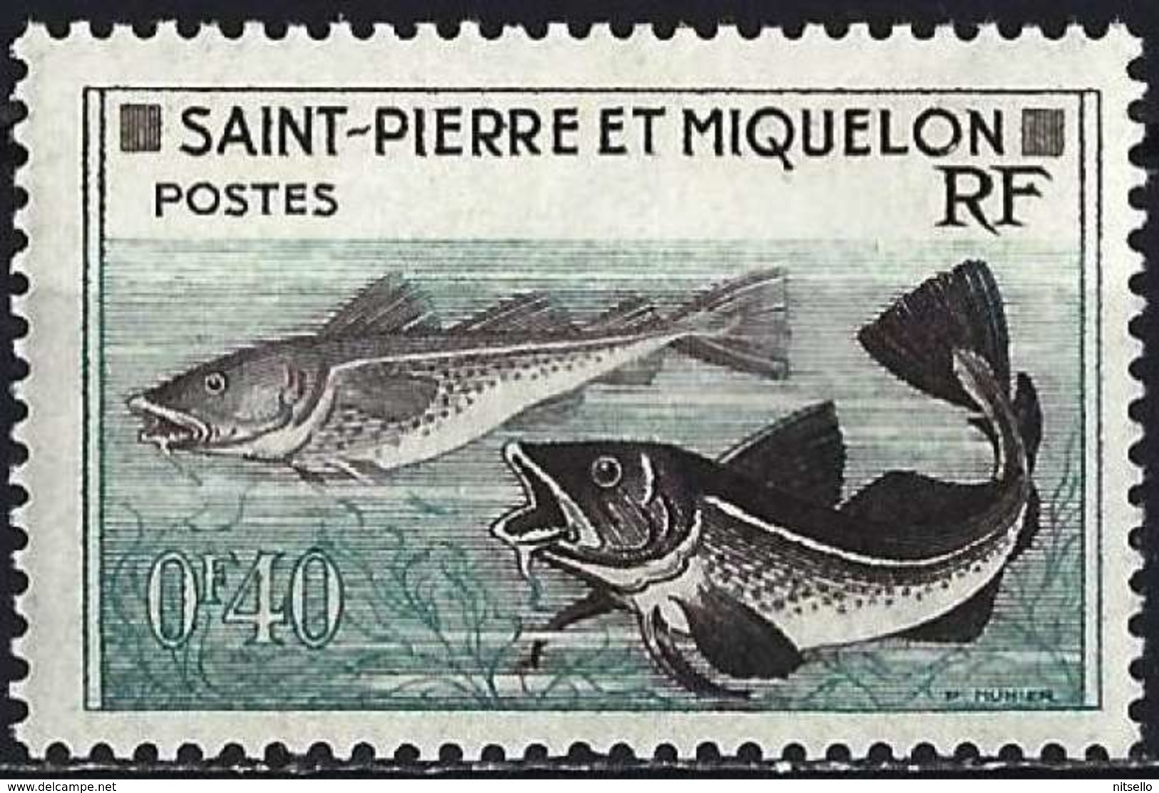 LOTE 1994  ///   (C020)  St-Pierre Et Miquelon 1957 - Poissons : Morues ( Mi 381 - YT 357 ) MNH** - Ongebruikt