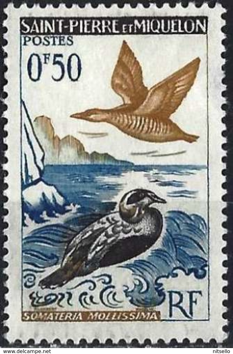 LOTE 1994  ///   (C020)   St-Pierre Et Miquelon 1963 - Canards Edeir ( Mi 398 - YT 364 ) MNG - Nuevos