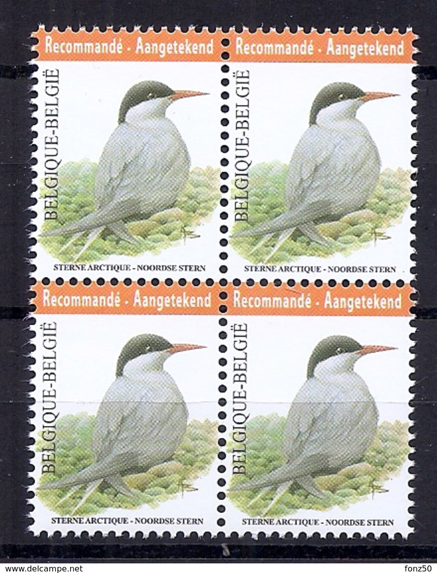 BELGIE * Buzin * Nr 4306 * Postfris Xx * WIT PAPIER - 1985-.. Pájaros (Buzin)