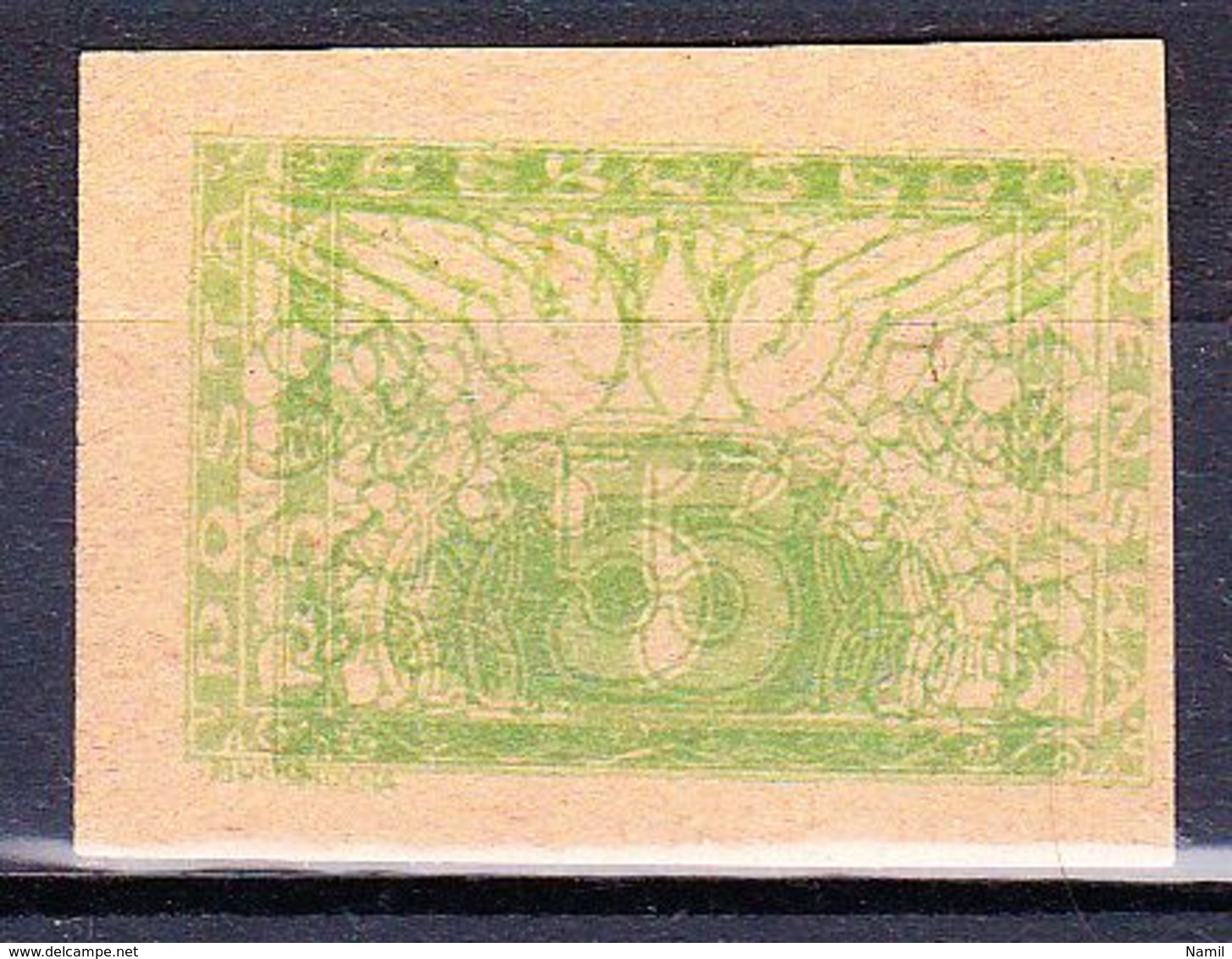 (*) Tchécoslovaquie 1919 Mi 12 (Yv TPJ 10), Double Impresion - Proofs & Reprints