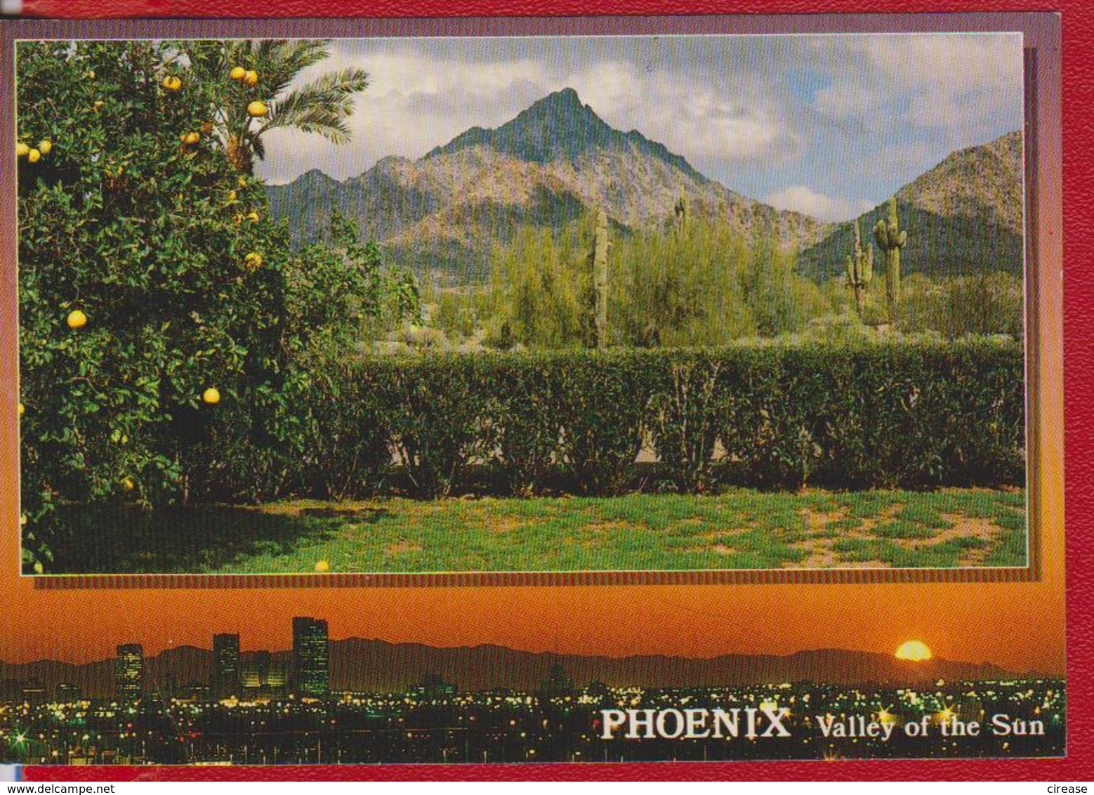 PHOENIX ARIZONA UNITED STATES POSTCARD USED - Phoenix