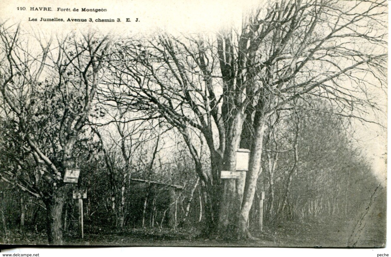 N°69493 -cpa Le Havre -bois Des Hallates- - Forêt De Montgeon