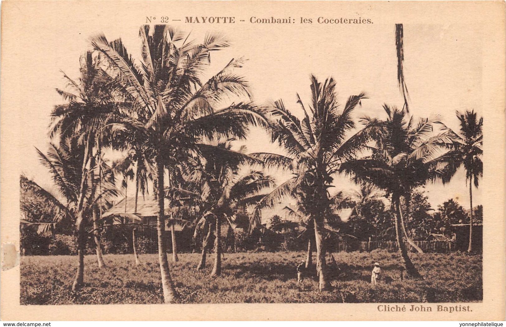 Mayotte / 30 - Combani - Les Cocoteraies - Mayotte