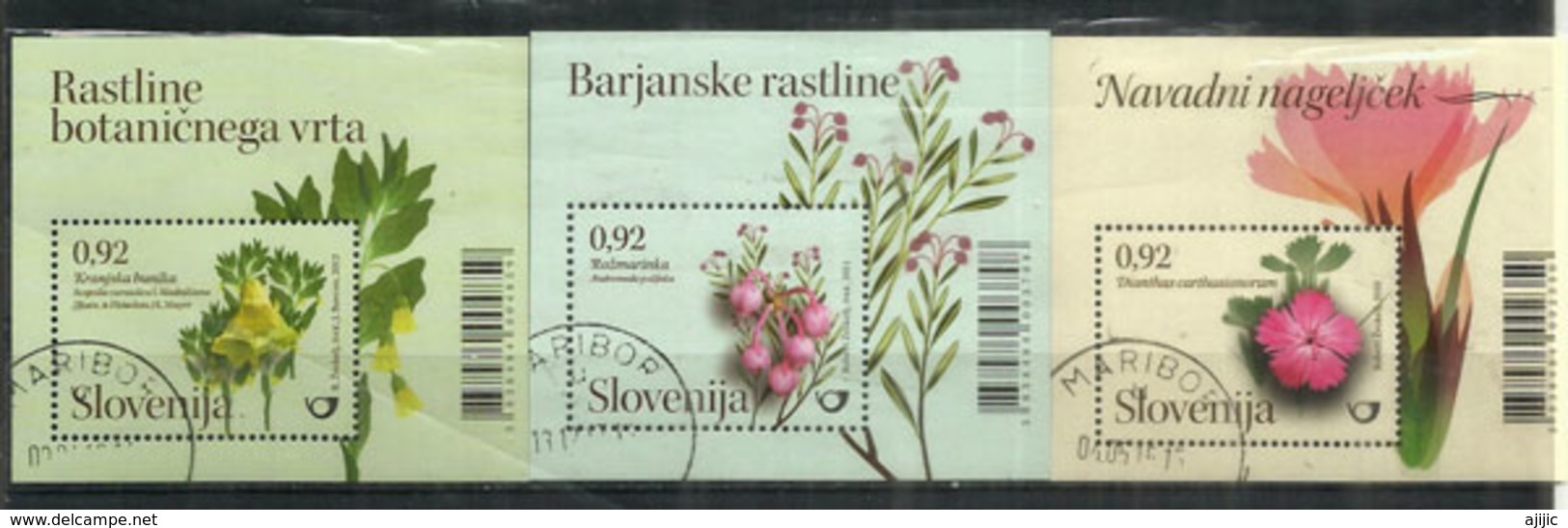 Fleurs De Slovénie: Bog-rosemary,œillet,Scopolia. 3 Blocs-feuillets Oblitérés 1 ère Qualité, Années 2010-11-12 - Slovénie