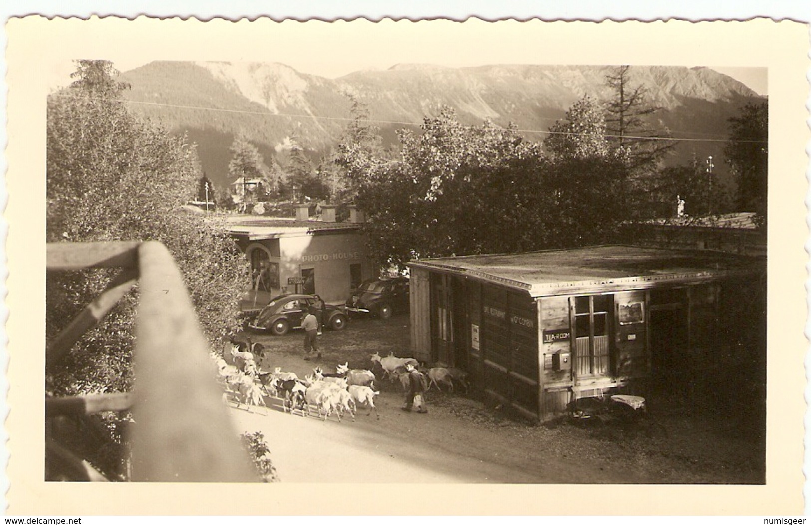 SUISSE  (Valais ) Café Restaurant Du Grand Combin - Le Troupeau De Chèvres Qui Rentre  ( Photo: 12 X 7.5 ) - Lieux