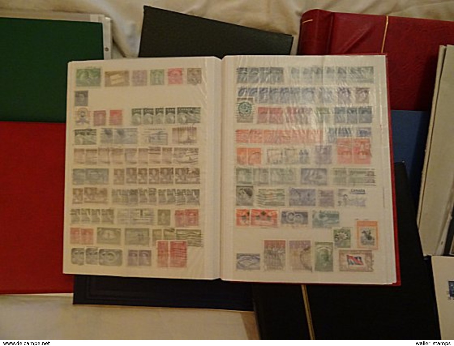 Lot With World Stamps In Albums