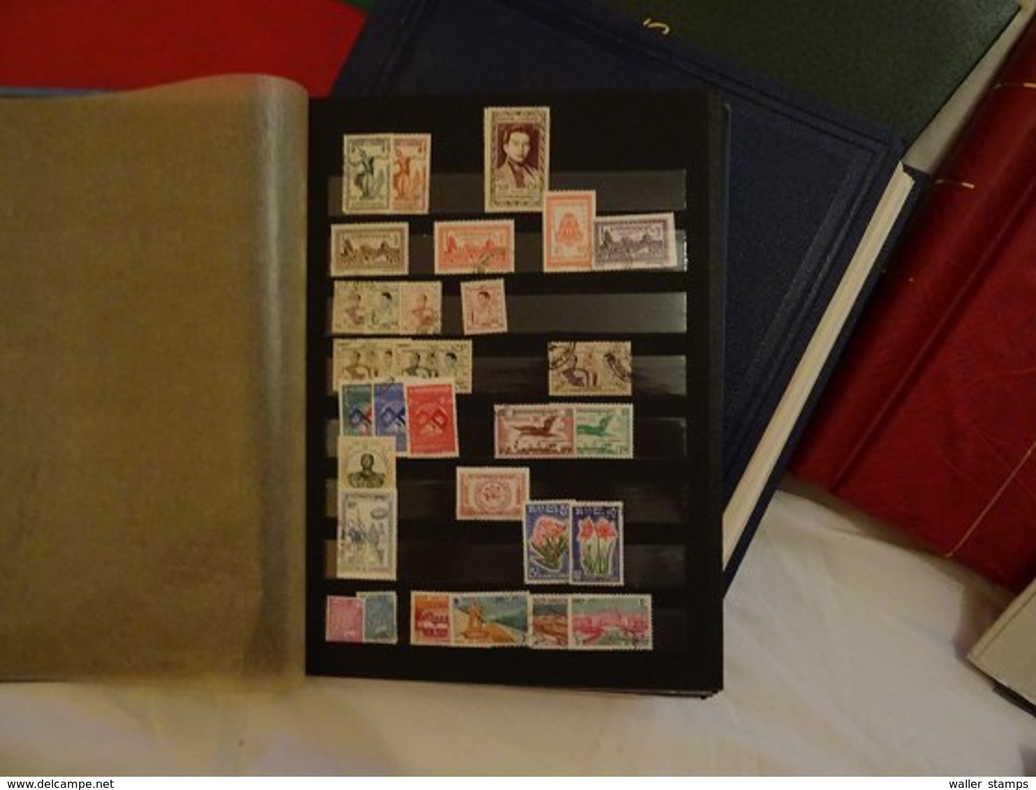 Lot With World Stamps In Albums