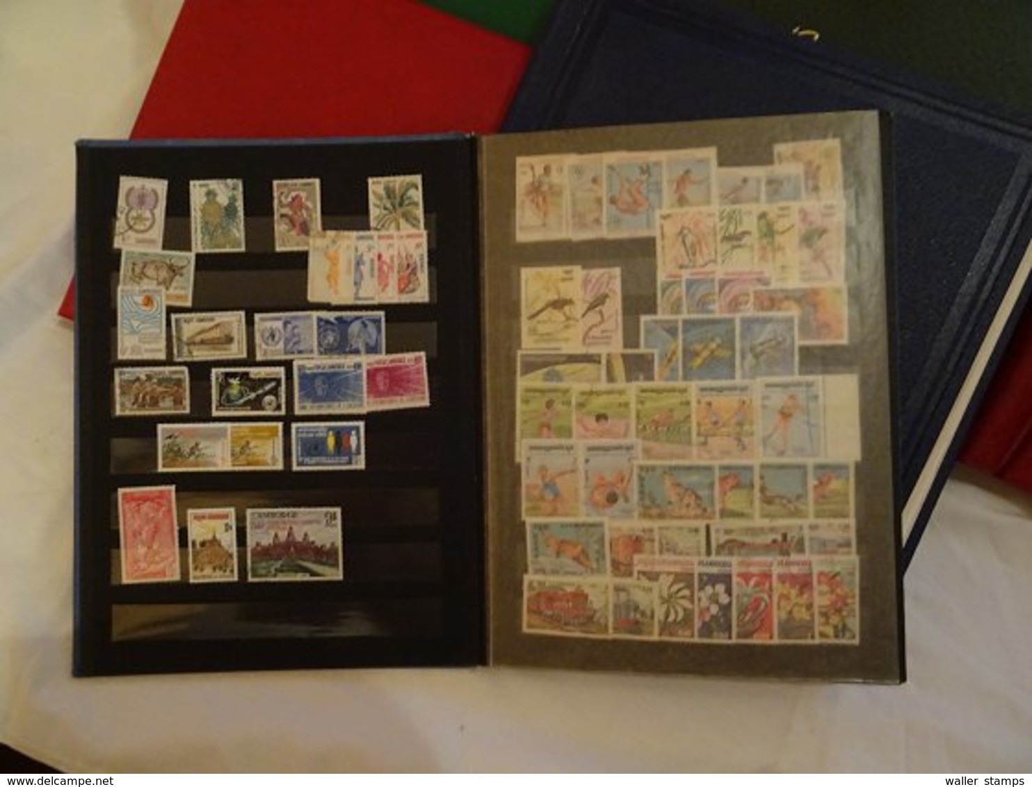 Lot With World Stamps In Albums