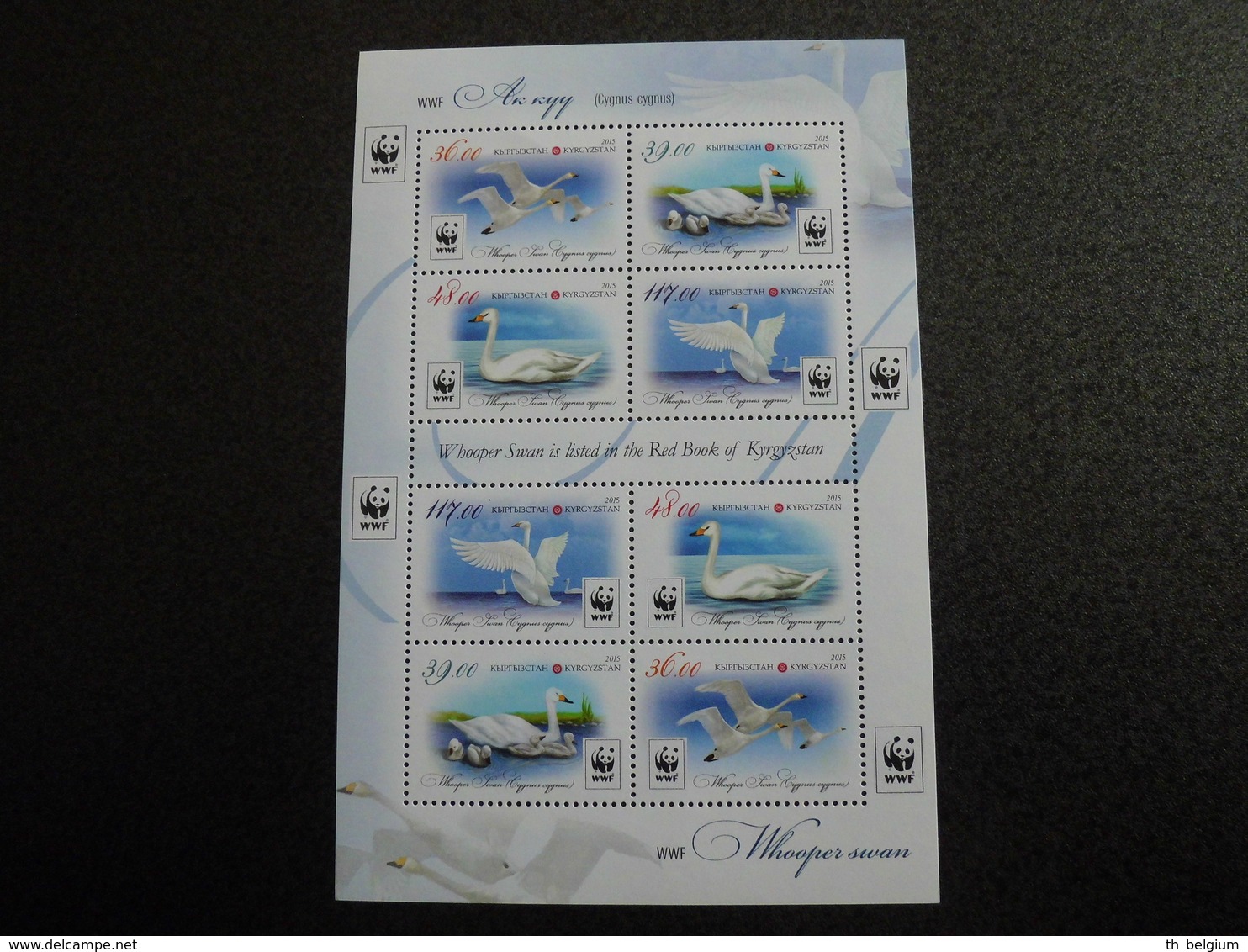 Kyrgyzstan 2015 - WWF Birds Whooper Swan (Cygnus Cygnus) - Complete Sheet - Kirghizistan