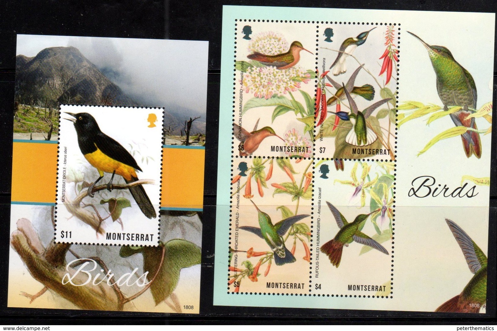 MONTSERRAT,  2018, MNH, BIRDS, HUMMING BIRDS, SHEETLET +SS, HIGH FV - Hummingbirds