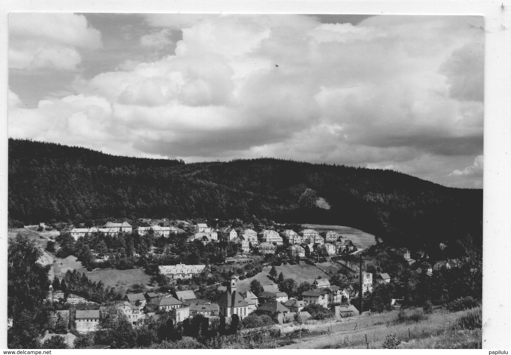 ALLEMAGNE : Schmiedeberg Im Erzgebirge - Schmiedeberg (Erzgeb.)