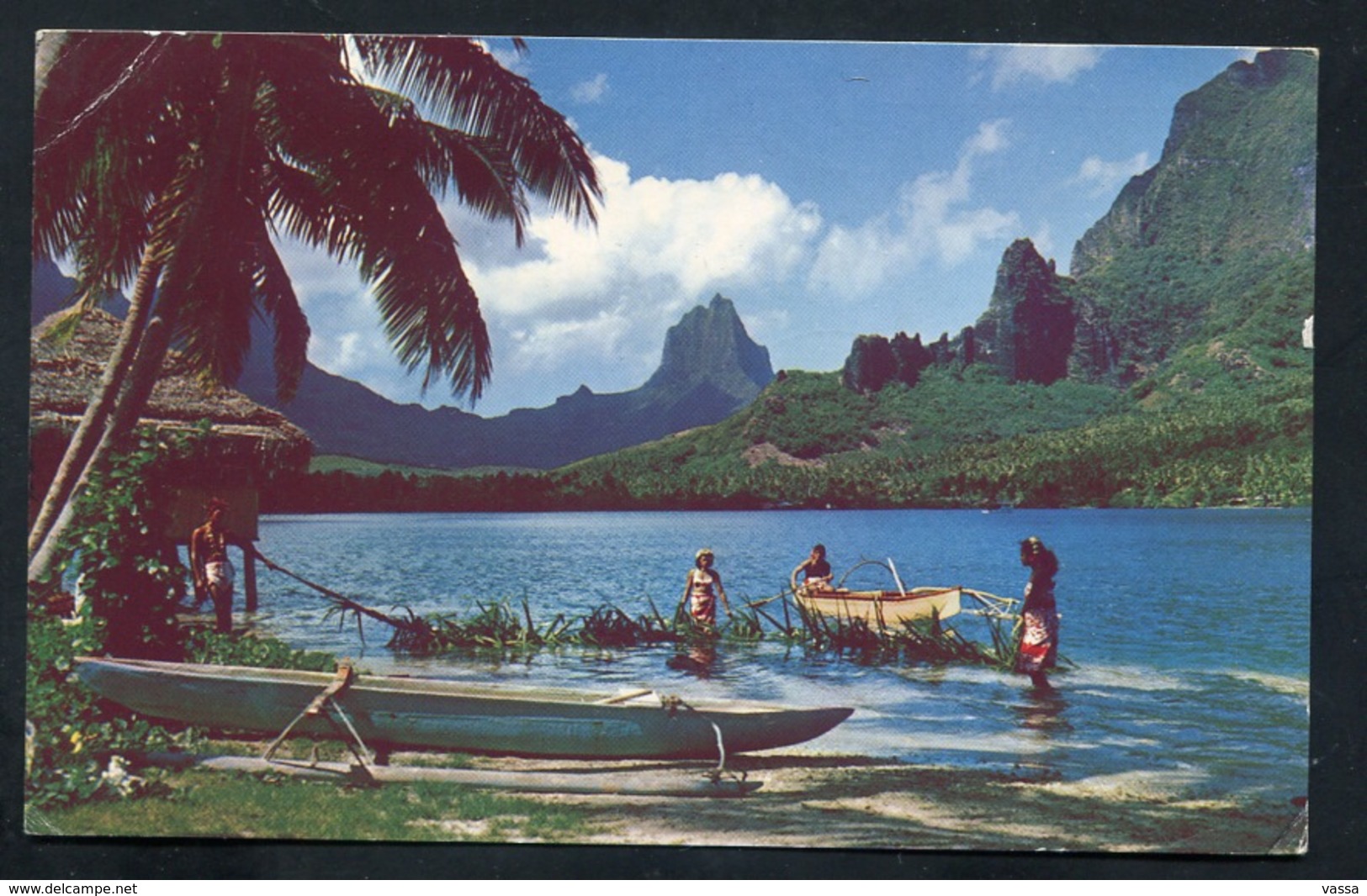 The Bay Of PAOPAO,  MOOREA , Woven Palms  Good Means Of Fishing . S Nice Stamps Fish. Mailed To ORAN .Algerie - Polynésie Française