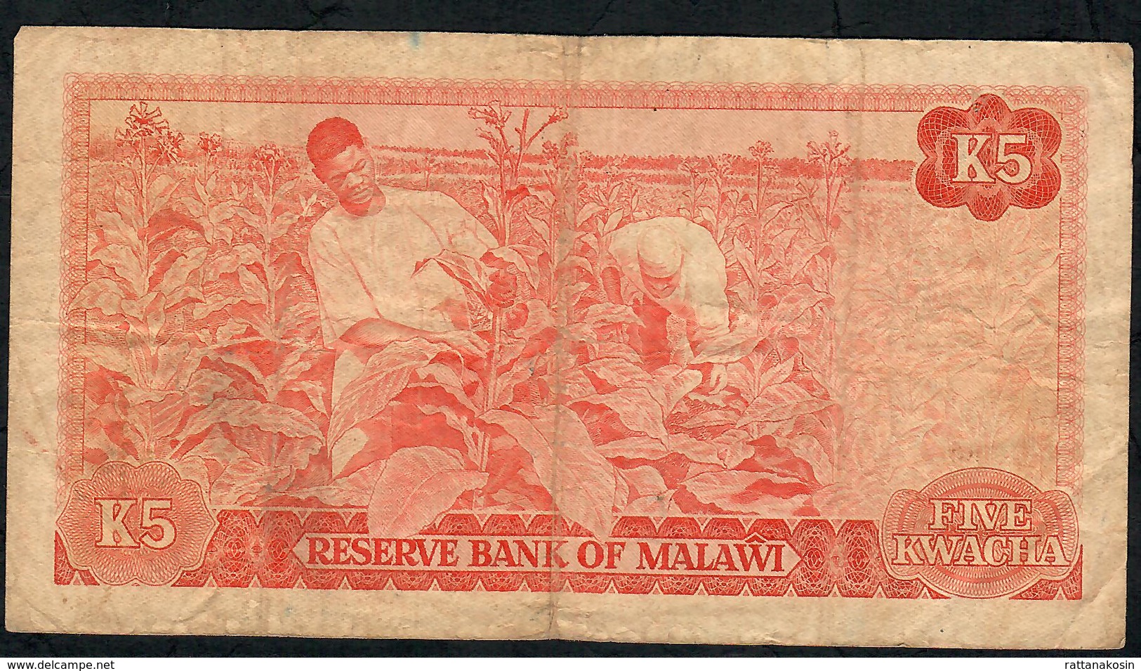 MALAWI P15e 5 KWACHA  1983    FINE Only 1 P.h. ! - Malawi