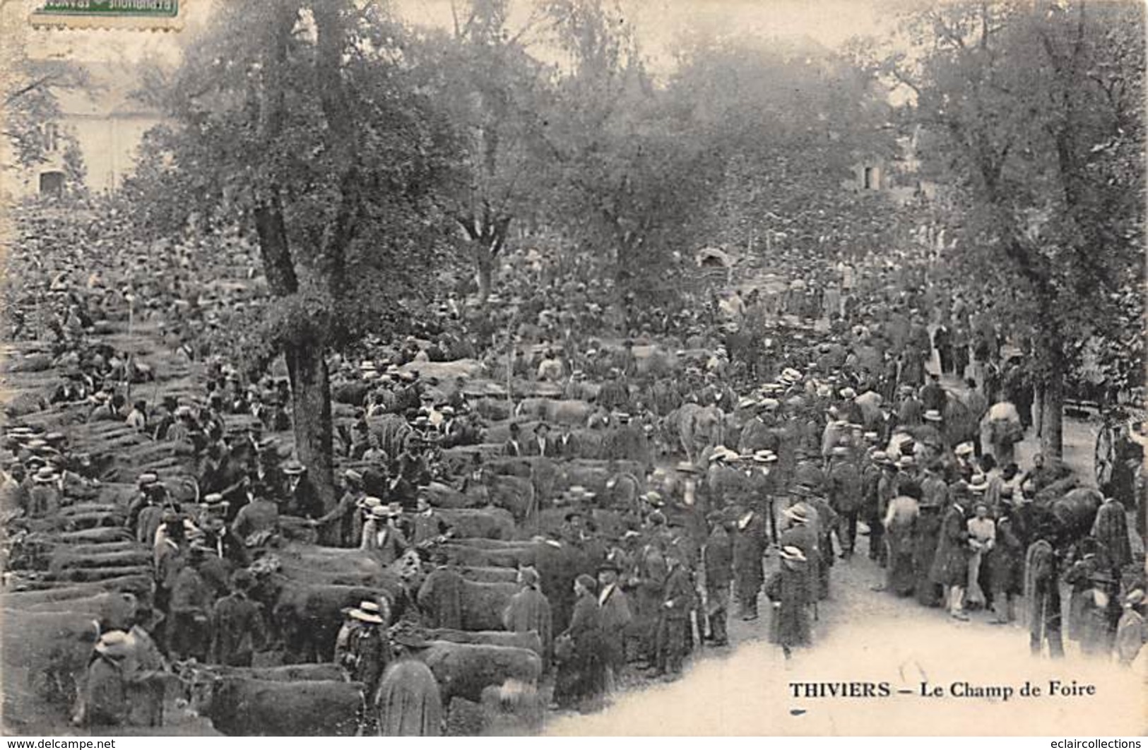 Thiviers       24       Le Champ De Foire    (voir Scan) - Thiviers