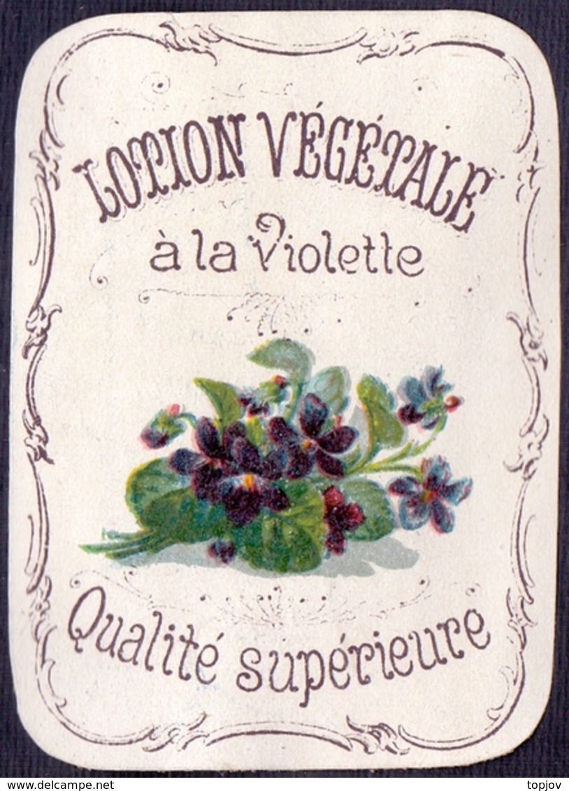 PRINT From J. STERN BERLIN - LOTION  VEGETALE  VIOLERTE -  Cc 1910/5 - Ours Parfumés