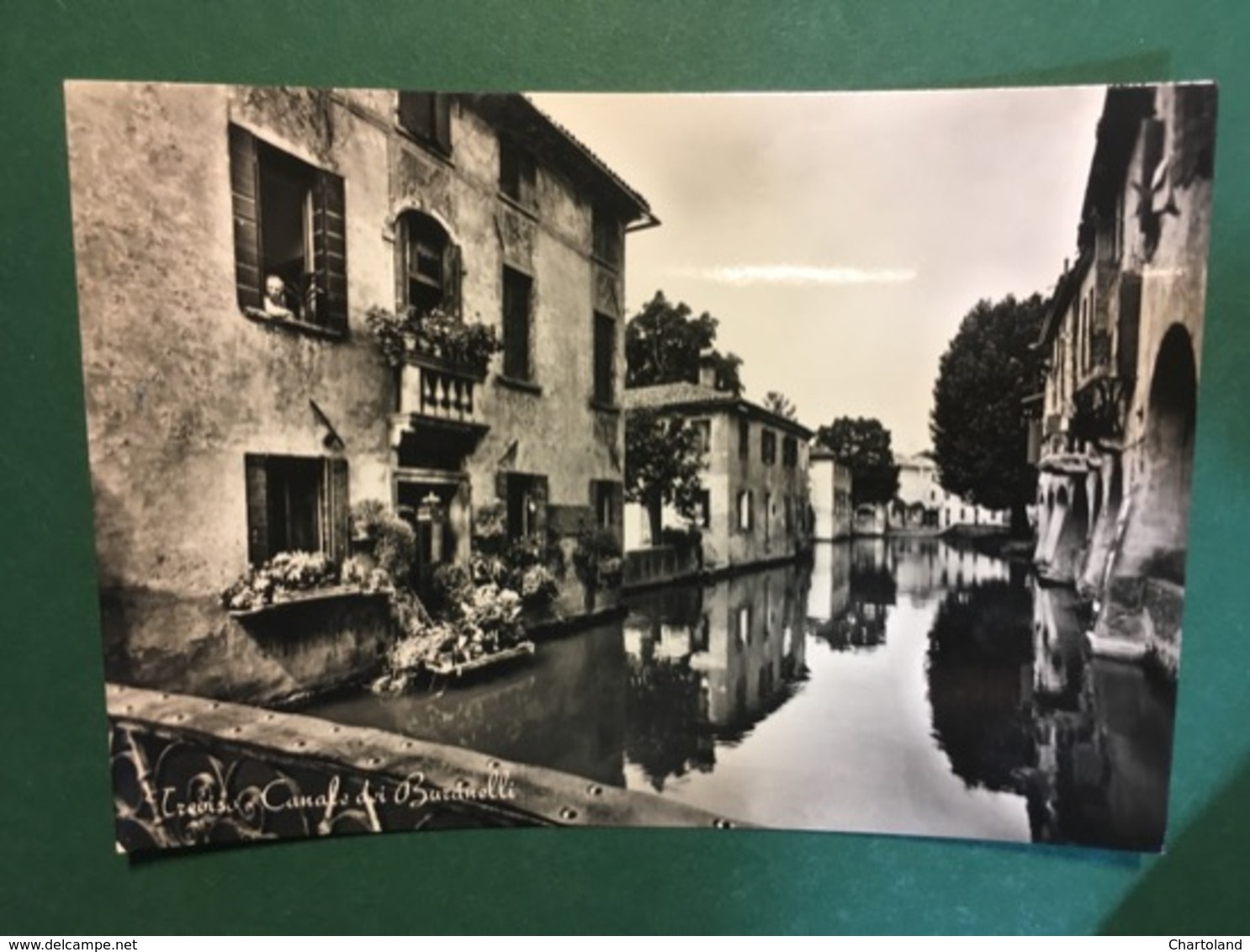 Cartolina Treviso - Canale Dei Buranelli - 1957 - Treviso