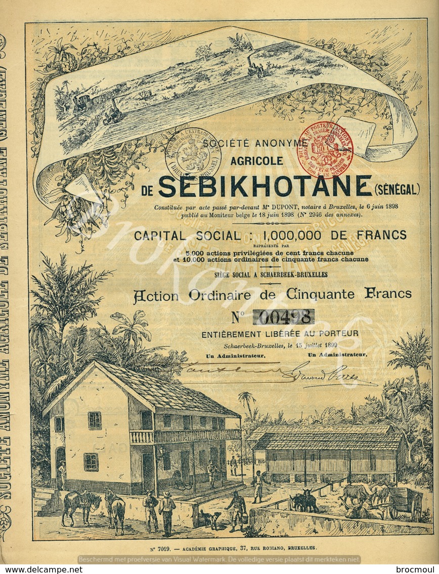 SA Agricole De SEBIKHOTANE (Senegal)  Schaerbeek-Bruxelles  15 Juillet 1899  RARE - Landbouw