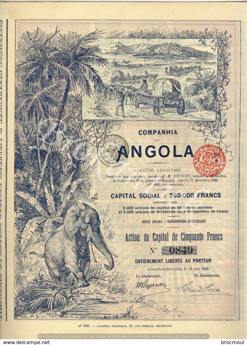 Companhia De Angola SA Schaerbeek-Bruxelles 1899  Action De Capital 50 F   N°0849 - Afrique