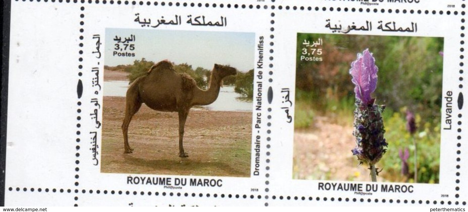 MOROCCO, 2018, MNH, FAUNA, FLORA, CAMELS, FLOWERS, 2v - Altri & Non Classificati