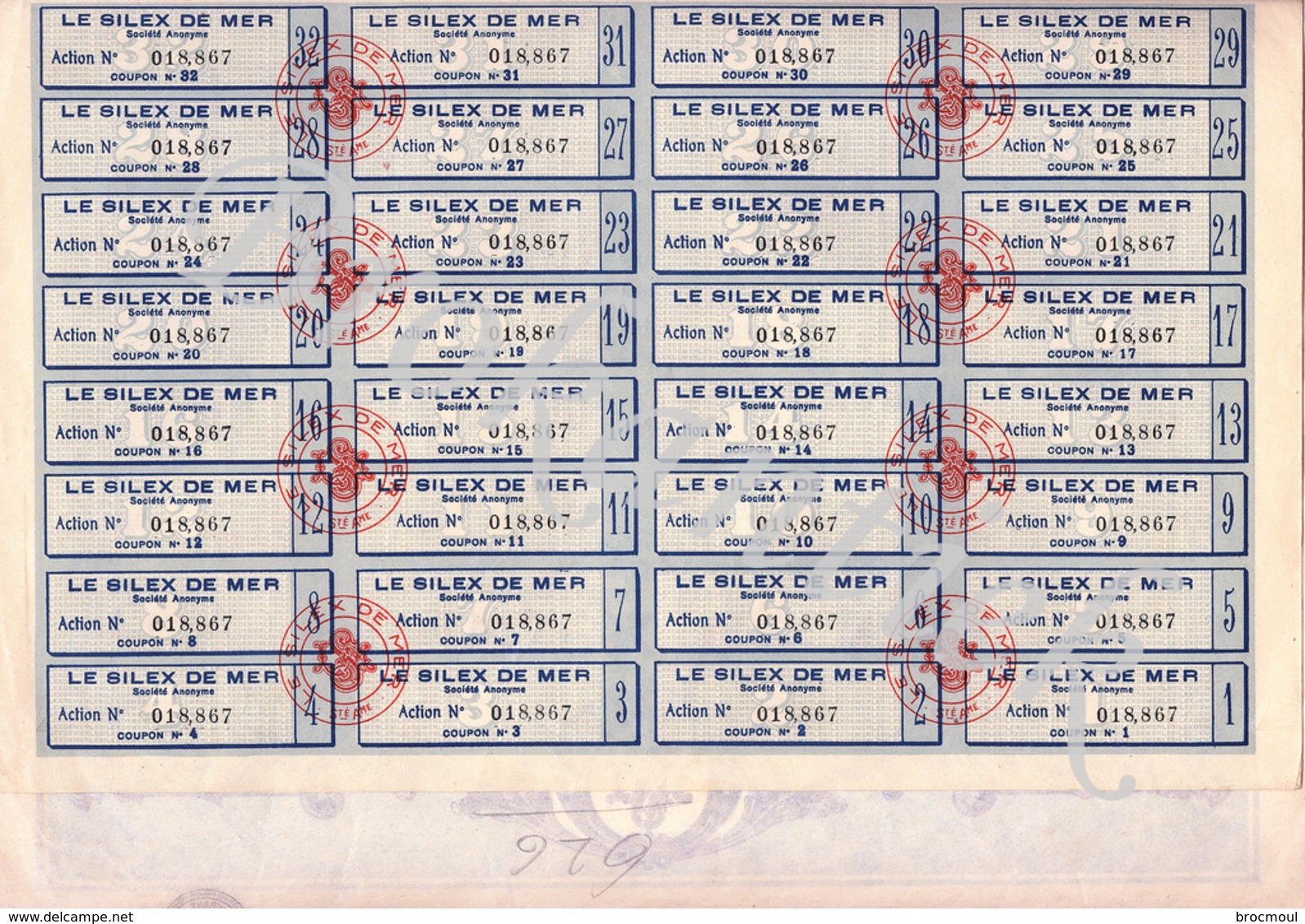 LE SILEX DE MER  S.A. PARIS  Action De 100 Francs  N° 18867  Le 28 Avril 1929 - Autres & Non Classés