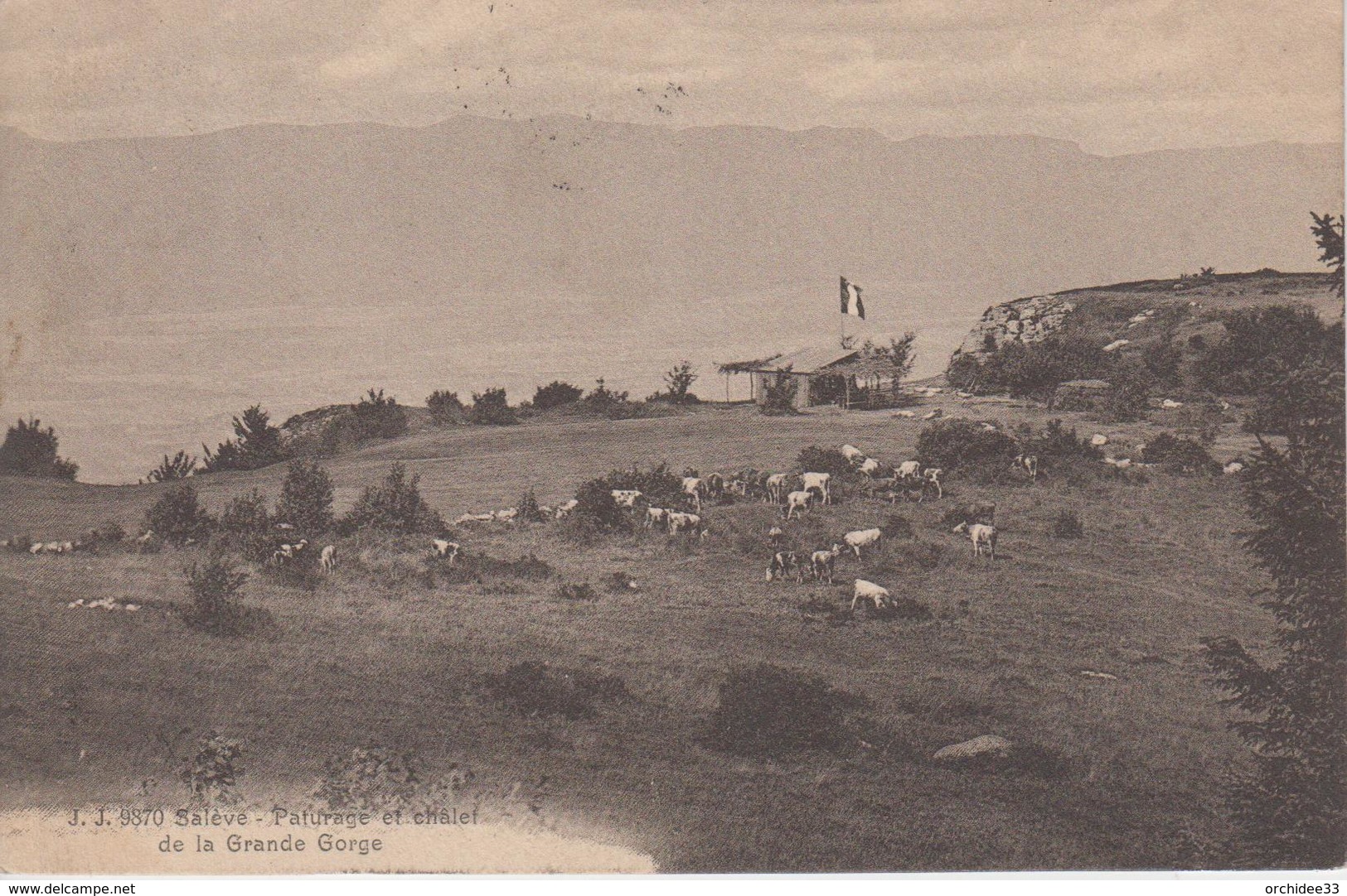 CPA Salève - Paturage Et Chalet De La Grande Gorge (avec Troupeau De Vaches) - Autres & Non Classés