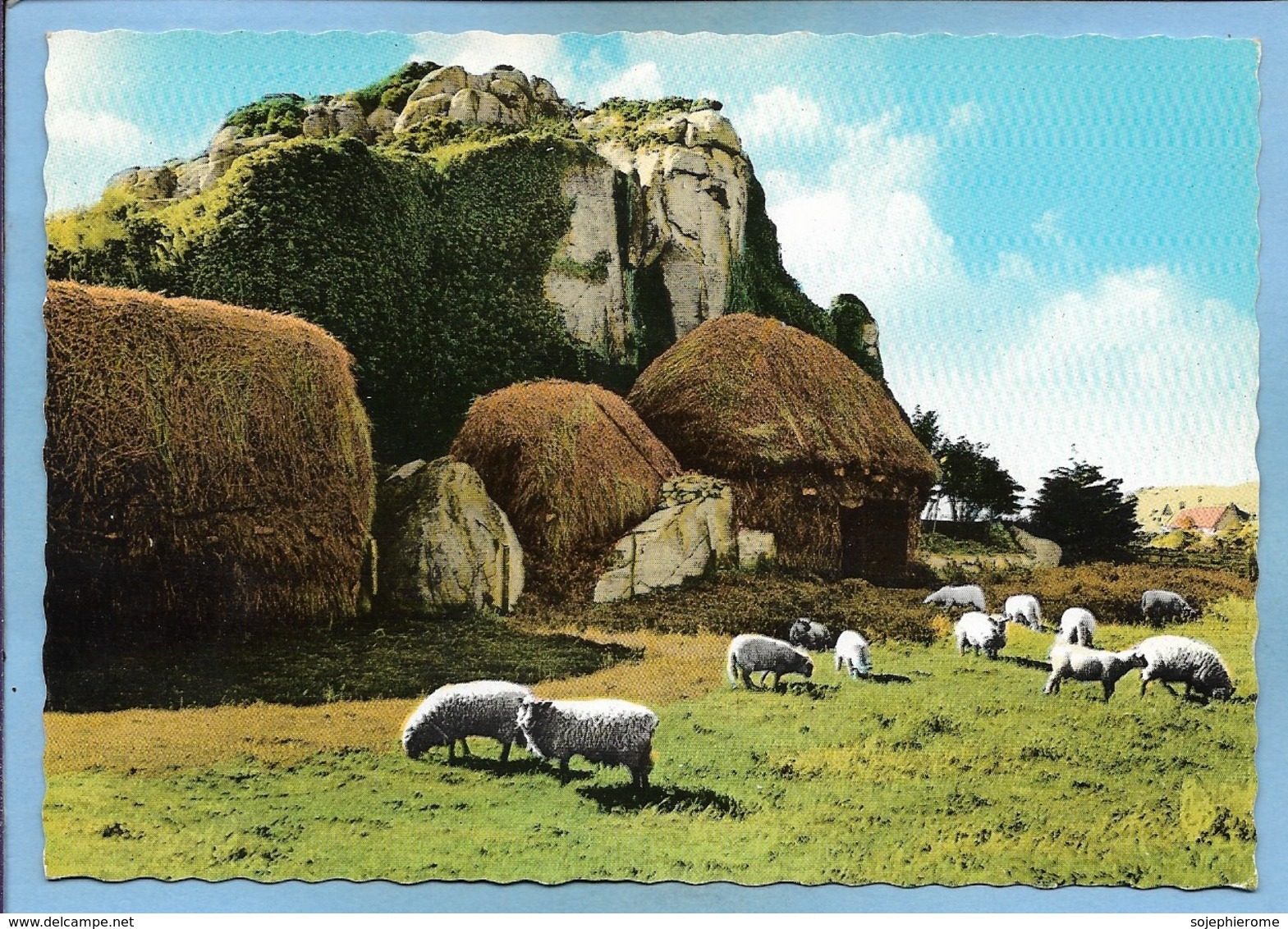 île De Bréhat (22) Bergerie Et Moutons Des Prés-Salés 2 Scans Rocher - Ile De Bréhat