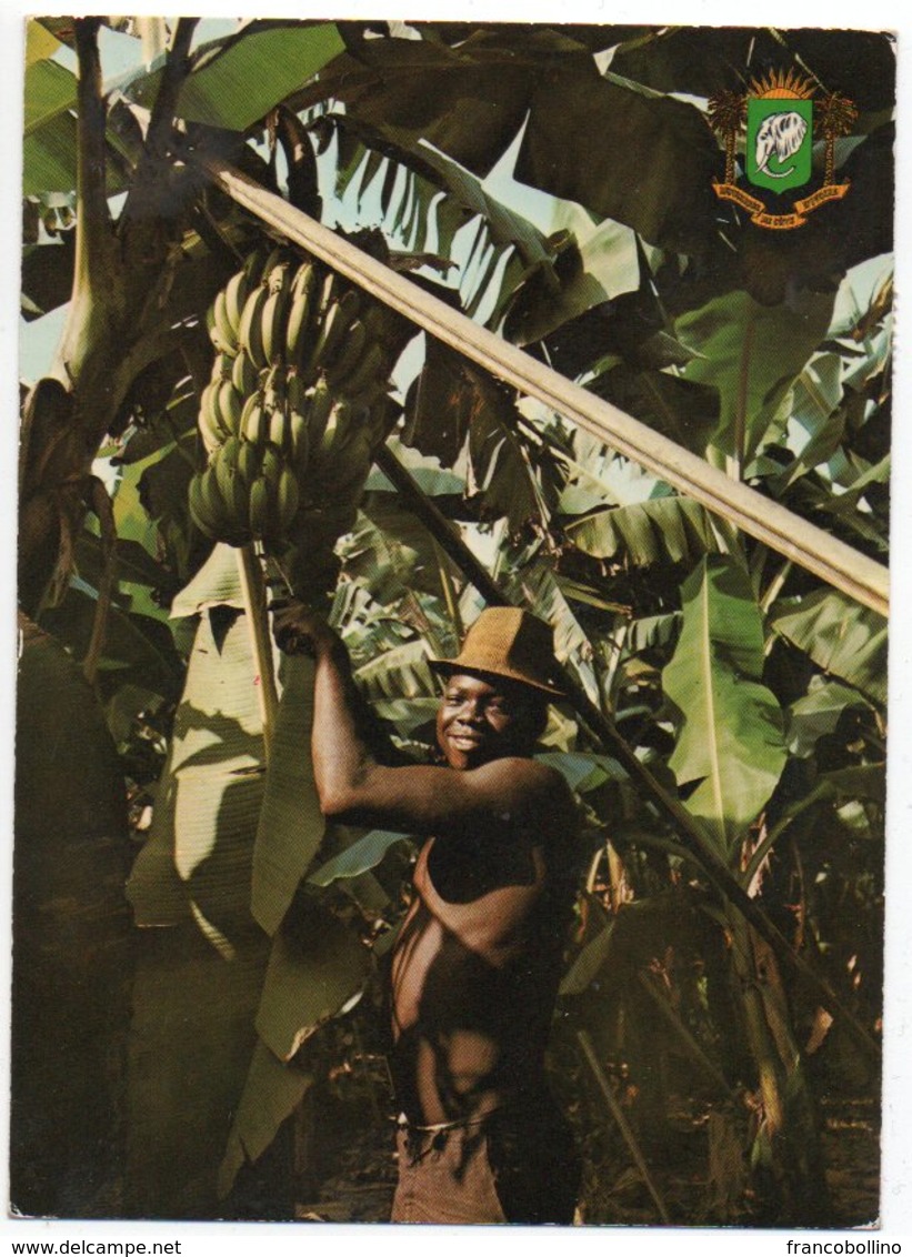COTE D'IVOIRE - CULTURE DE LA BANANE / THEMATIC STAMPS - Ivory Coast