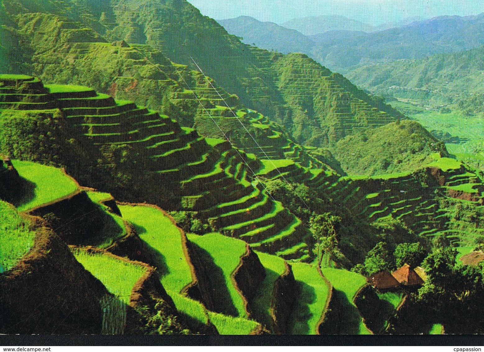 Philippines-Banawe Rice Terraces  8 Th Wonder Of The World   -Recto Verso -Paypal Free - Filippine