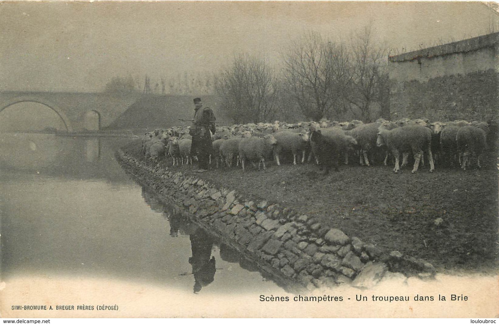 SCENES CHAMPETRES UN TROUPEAU DANS LA BRIE - Altri & Non Classificati