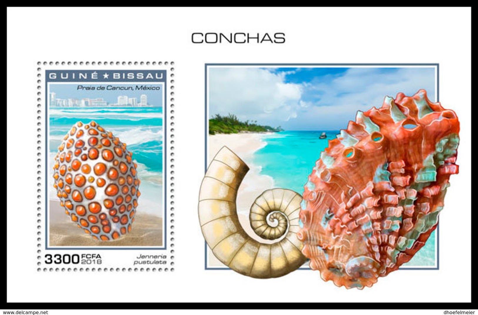 GUINEA BISSAU 2018 MNH Shells Muscheln Coquillages S/S - OFFICIAL ISSUE - DH1904 - Conchiglie
