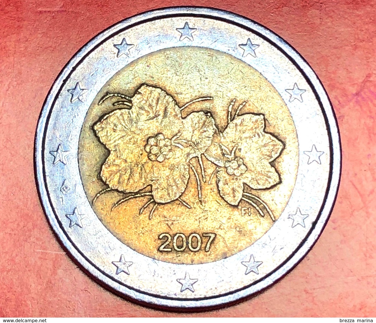 FINLANDIA - 2007 - Moneta - Bacca Del Lampone Artico Rubus Camemorus, Con I Suoi Fiori - Euro - 2.00 - Finlandia