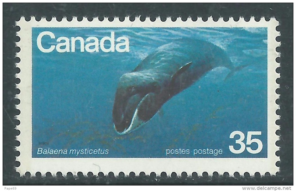 Canada Thème Polaire N° 700 XX Espèces Menacée D'Extinction : Baleine Franche Sans Charnière, TB - Neufs