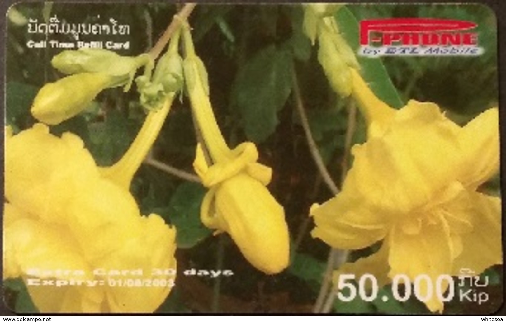 Mobilecard Laos - Blumen, Flowers (13) - Laos