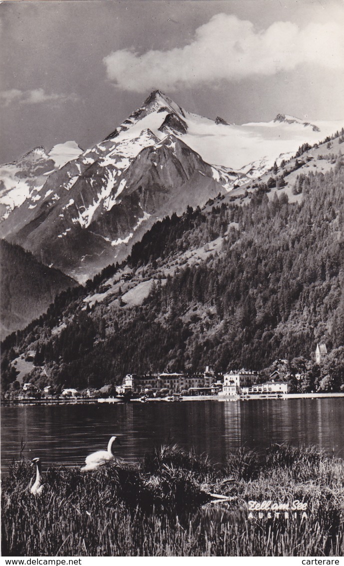 AUTRICHE,OSTERREICH,AUSTRIA,SALZBOURG,ZELL AM SEE,CARTE PHOTO,FOTO - Zell Am See