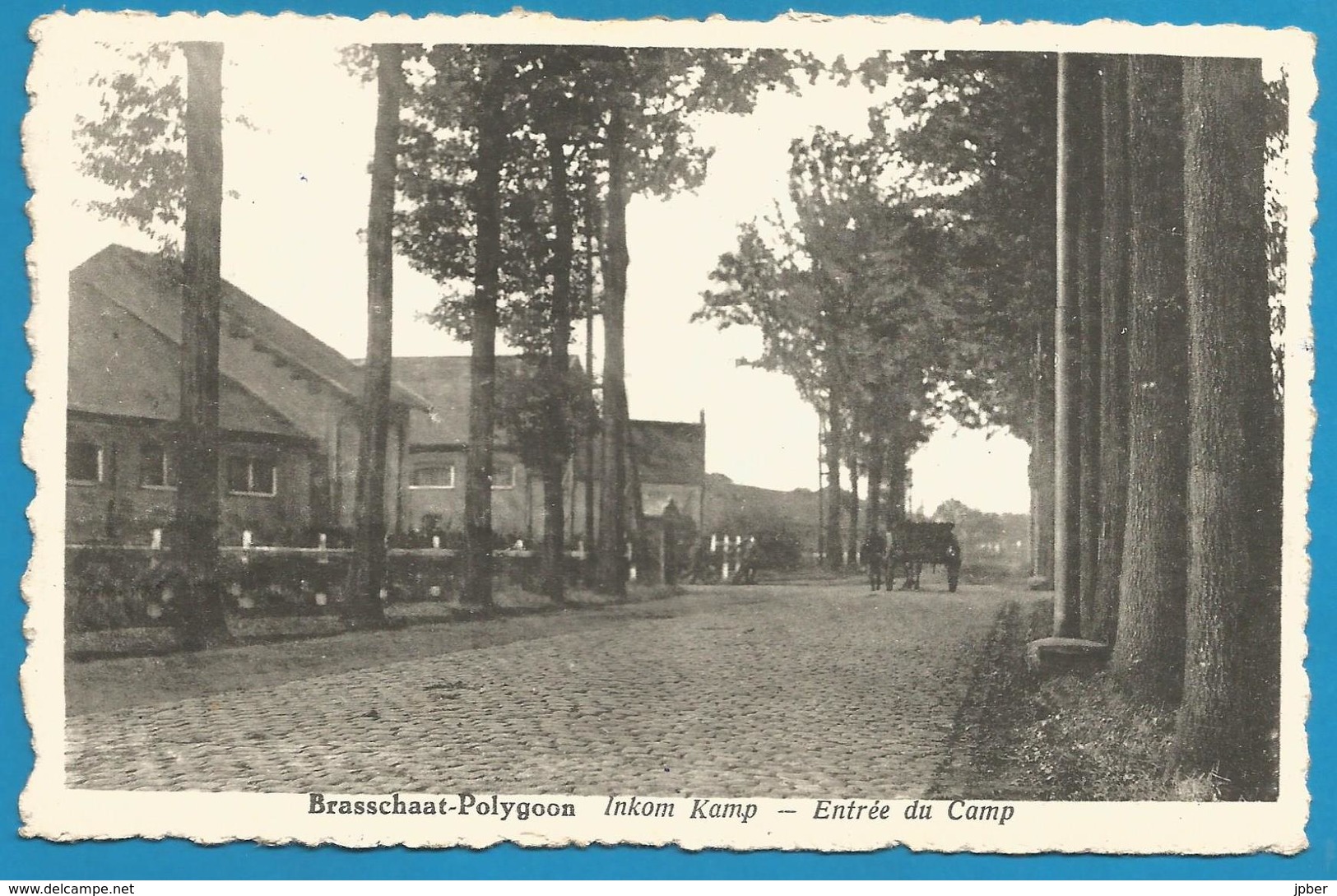 (G046) BRASSCHAAT - Polygoon, Entrée Du Camp - Brasschaat