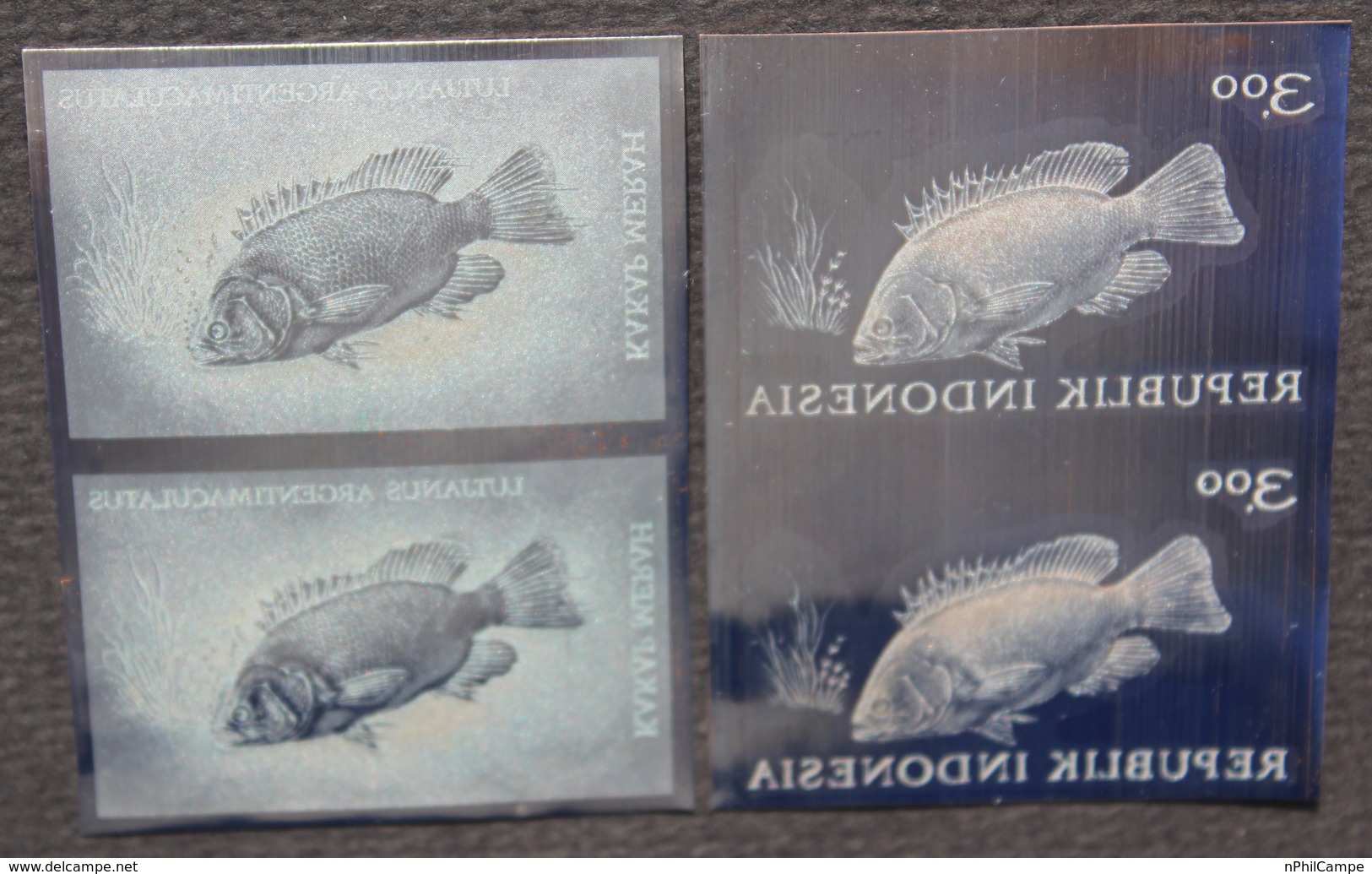 KPI-393- Indonesia 1963 Fish. LUTJANUS ARGENTIMACULATUS, 3r (kakap Merah), Pair 2. Piece Of Printing Plate! Rare!!! - Indonesia