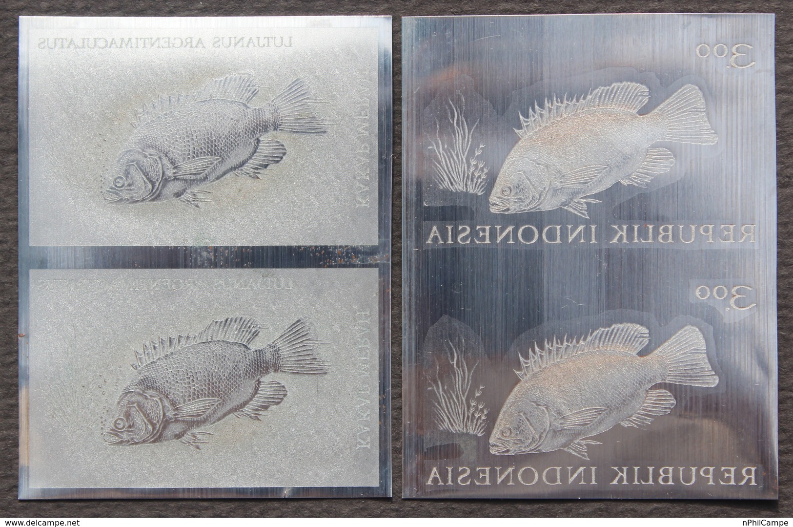KPI-393- Indonesia 1963 Fish. LUTJANUS ARGENTIMACULATUS, 3r (kakap Merah), Pair 2. Piece Of Printing Plate! Rare!!! - Indonesia