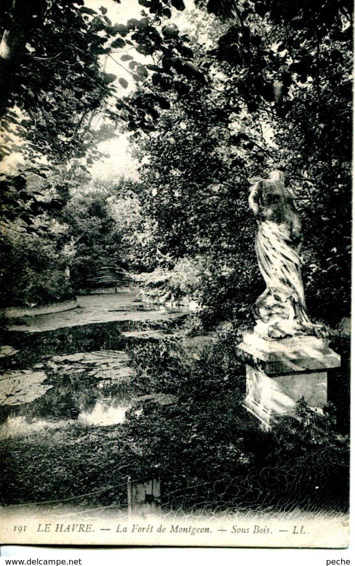 N°69538 -cpa Le Havre -forêt De Montgeon- - Forêt De Montgeon