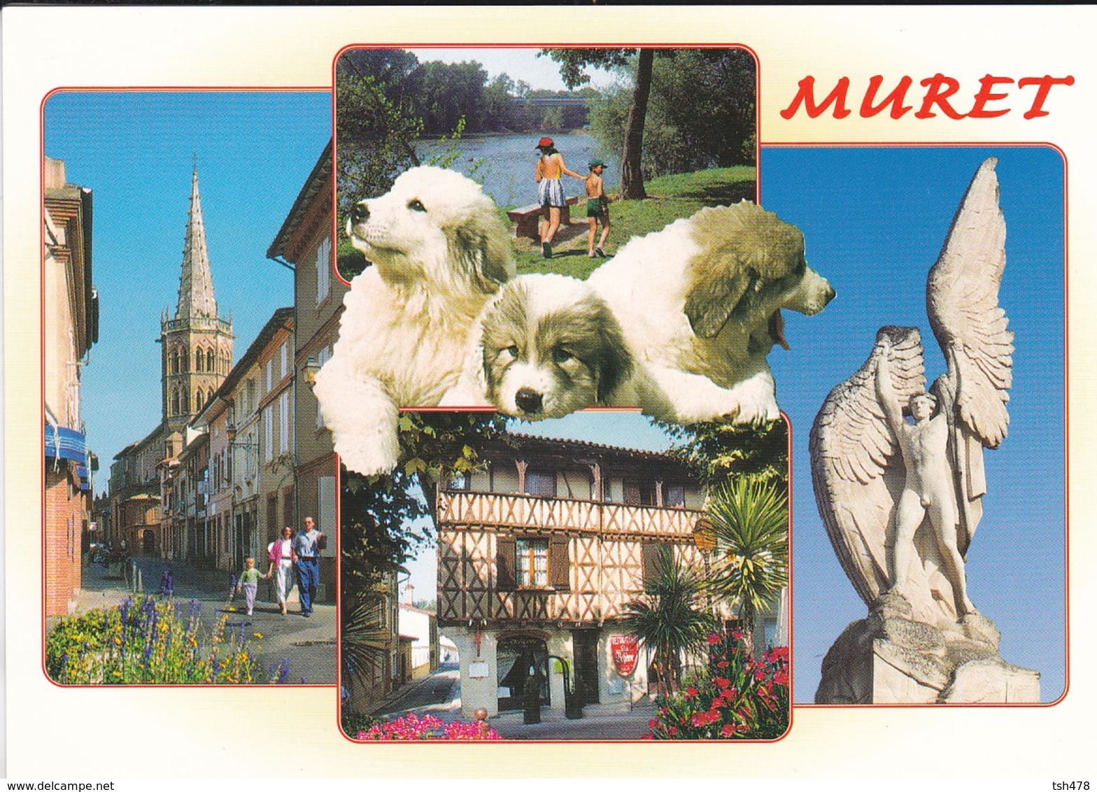 31----MURET--multi-vues--statue Clément ADER-patrie Du Maréchal NIEL Et De Clément Ader--voir 2 Scans - Muret