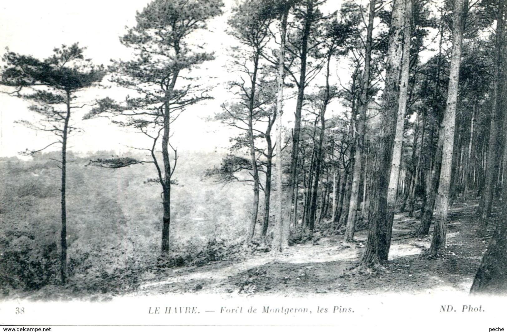 N°69560 -cpa Le Havre -forêt De Montgeon- - Forêt De Montgeon