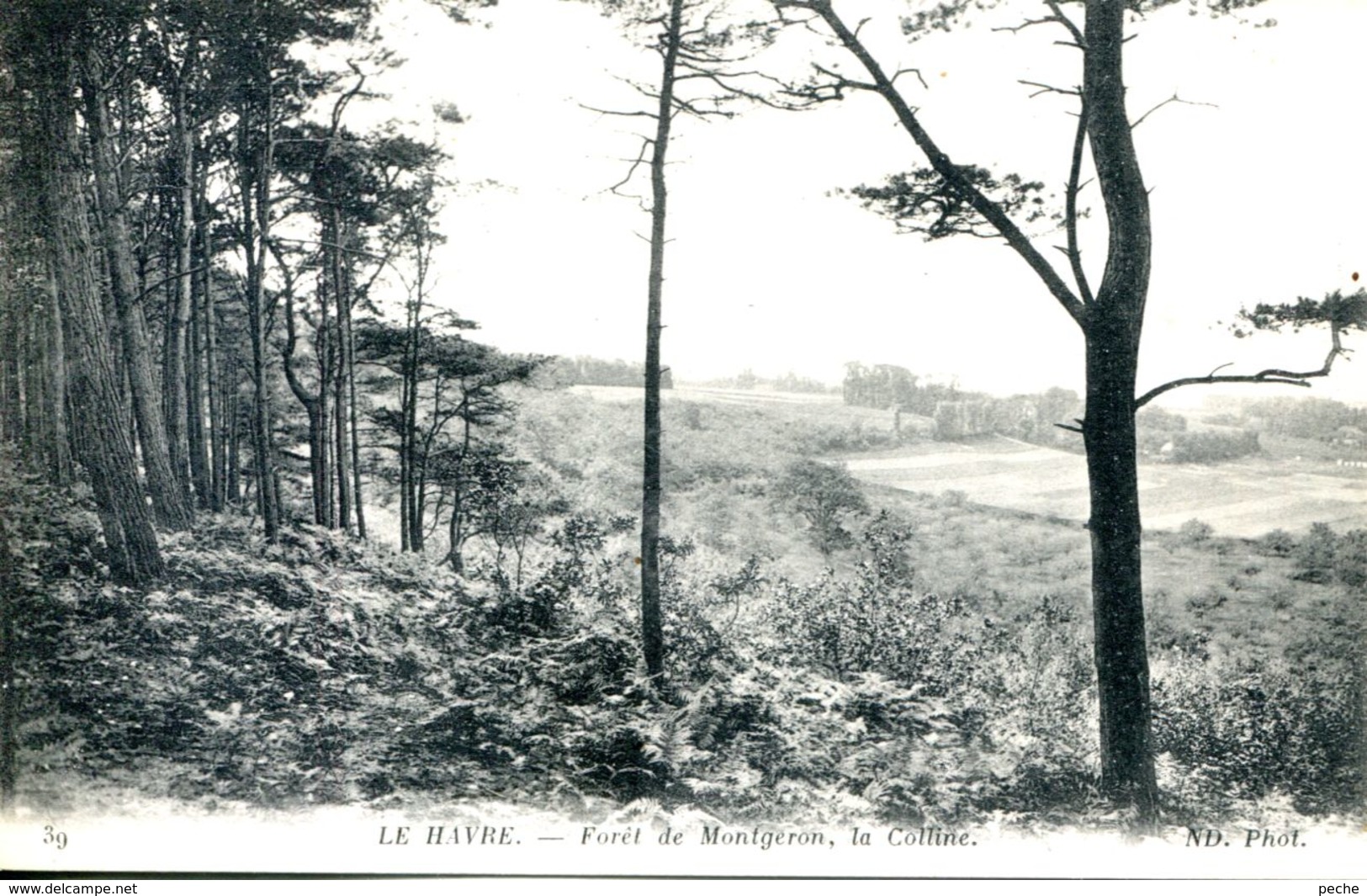 N°69571 -cpa Le Havre -forêt De Montgeon- - Forêt De Montgeon