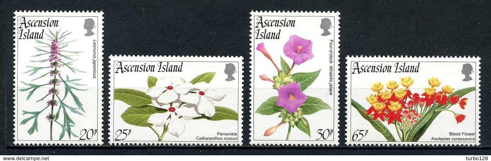 ASCENSION 1995 N° 623/626 ** Neufs MNH Superbes C 15 € Flore Fleurs Aselepios Eurassavica Flowers - Ascension (Ile De L')