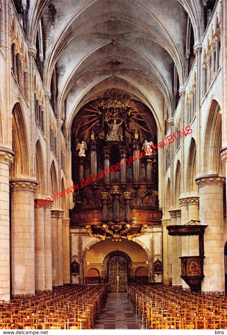 Basiliek - Tongeren - Tongeren