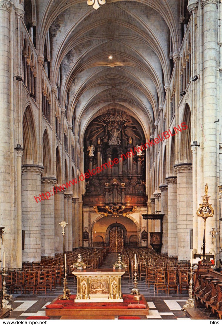 Basiliek - Tongeren - Tongeren